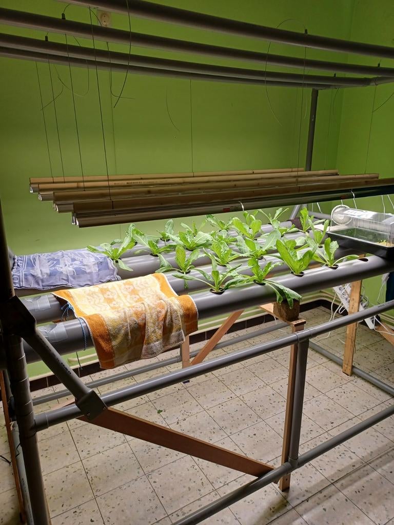 Lampe horticole pour culture intérieure ou échange contre, Enlèvement