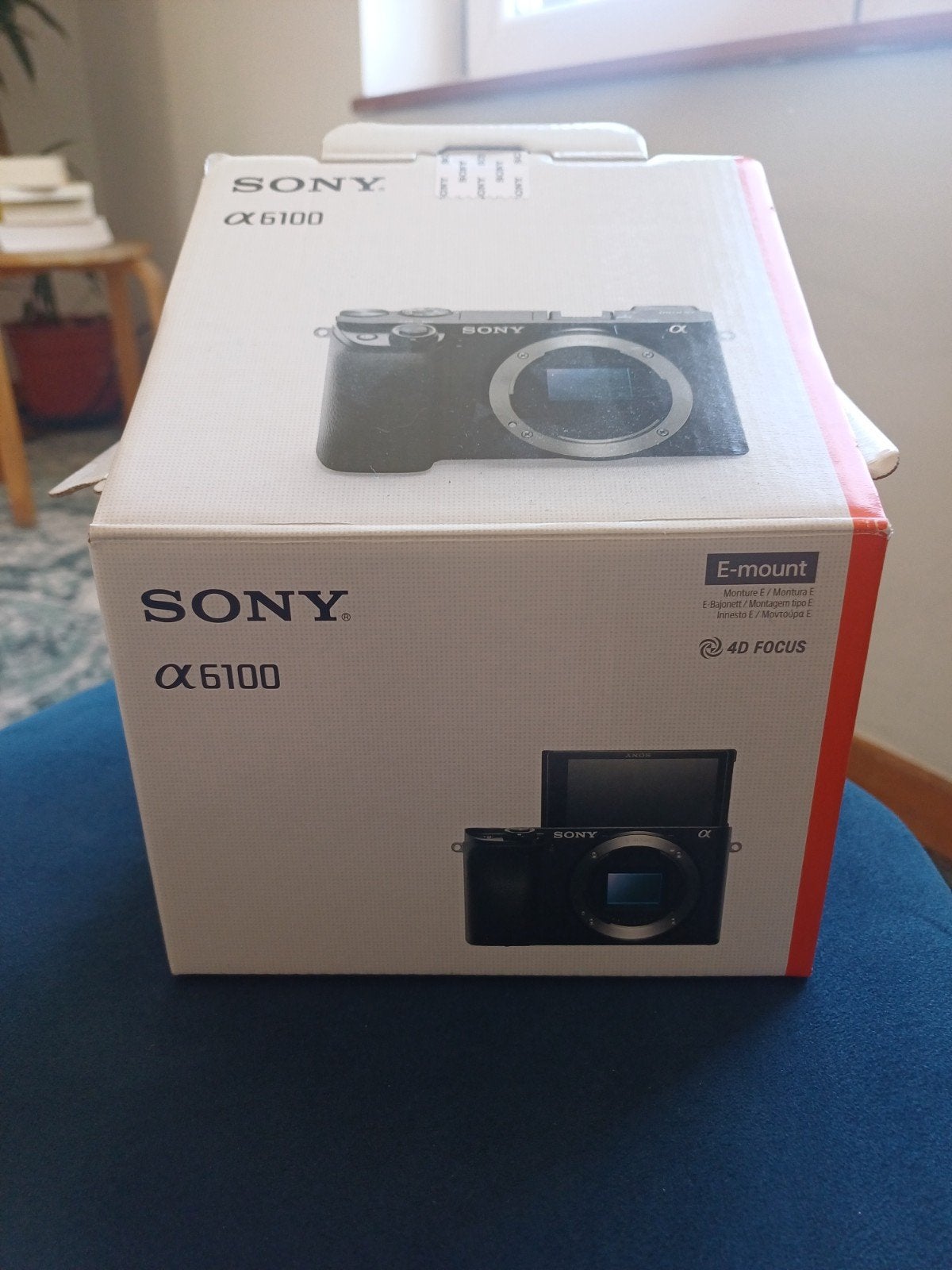 Sony α, Enlèvement, Sony