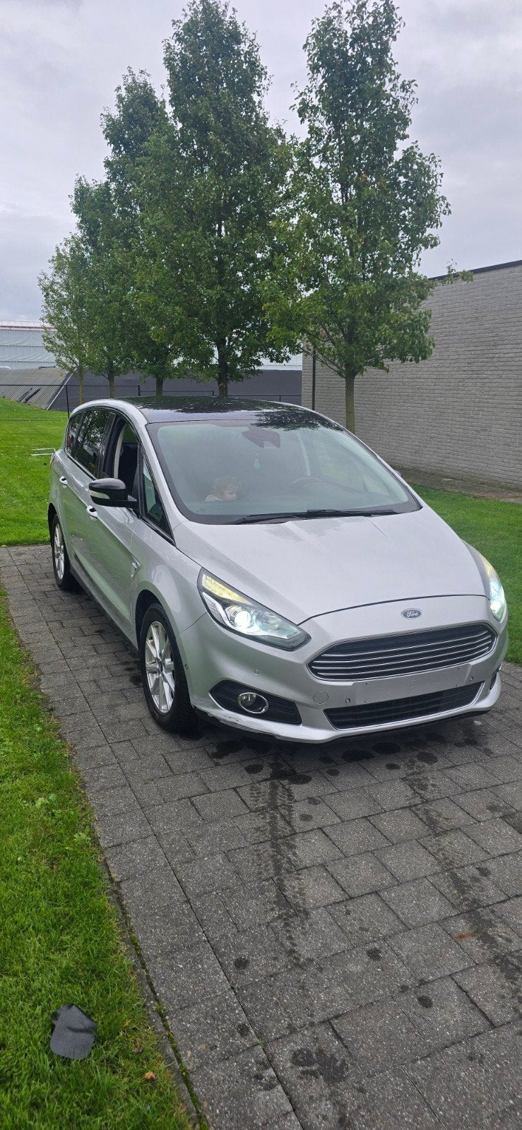 Ford S Max, Auto's, Stof, 7 zetels, Diesel, 5 deurs