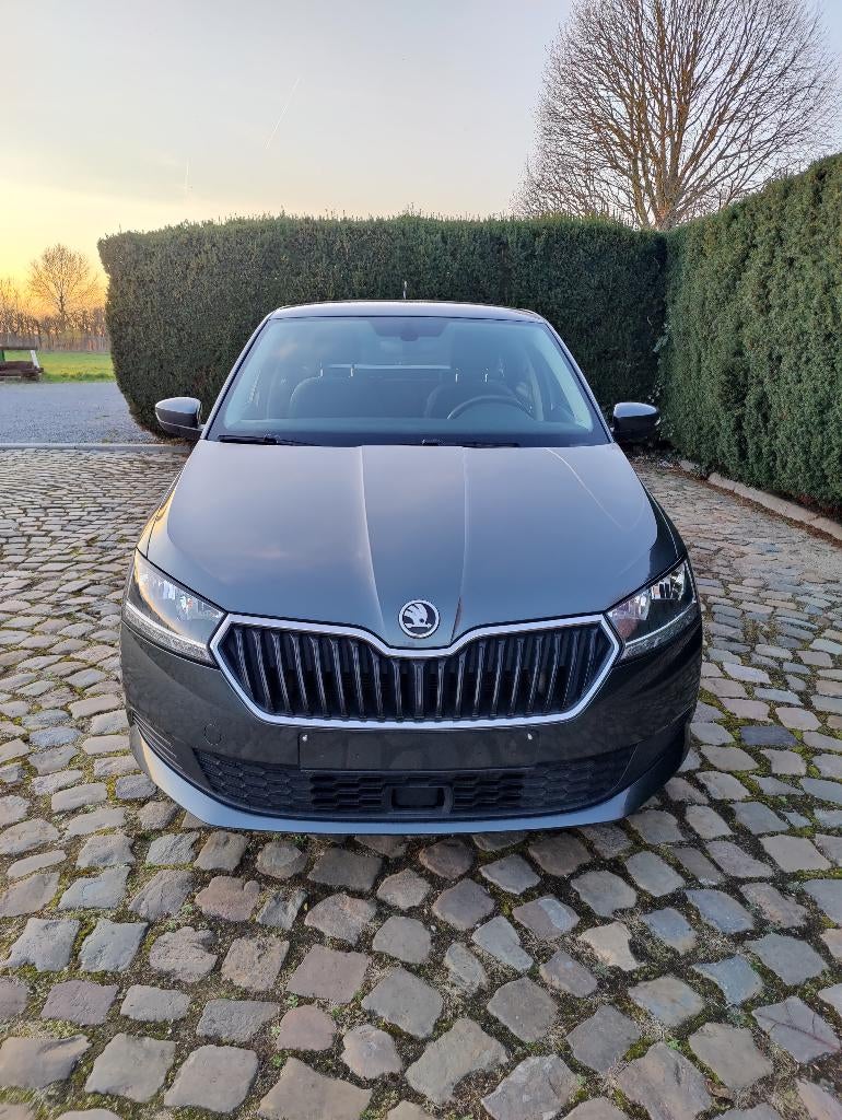 Skoda Fabia SW 1.0 TSI Ambition, Argent ou Gris, Achat, Euro 6, Entreprise