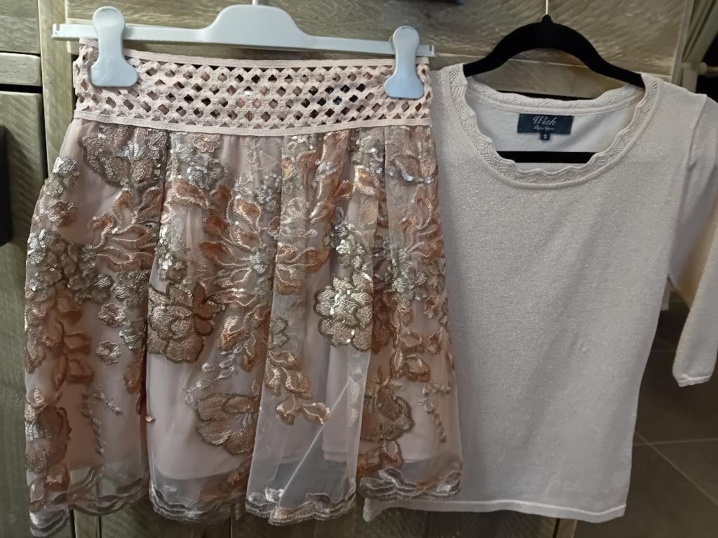 Feestelijke Longsleeve + rokje roze, Enlèvement, Comme neuf, Taille 36 (S), Rose