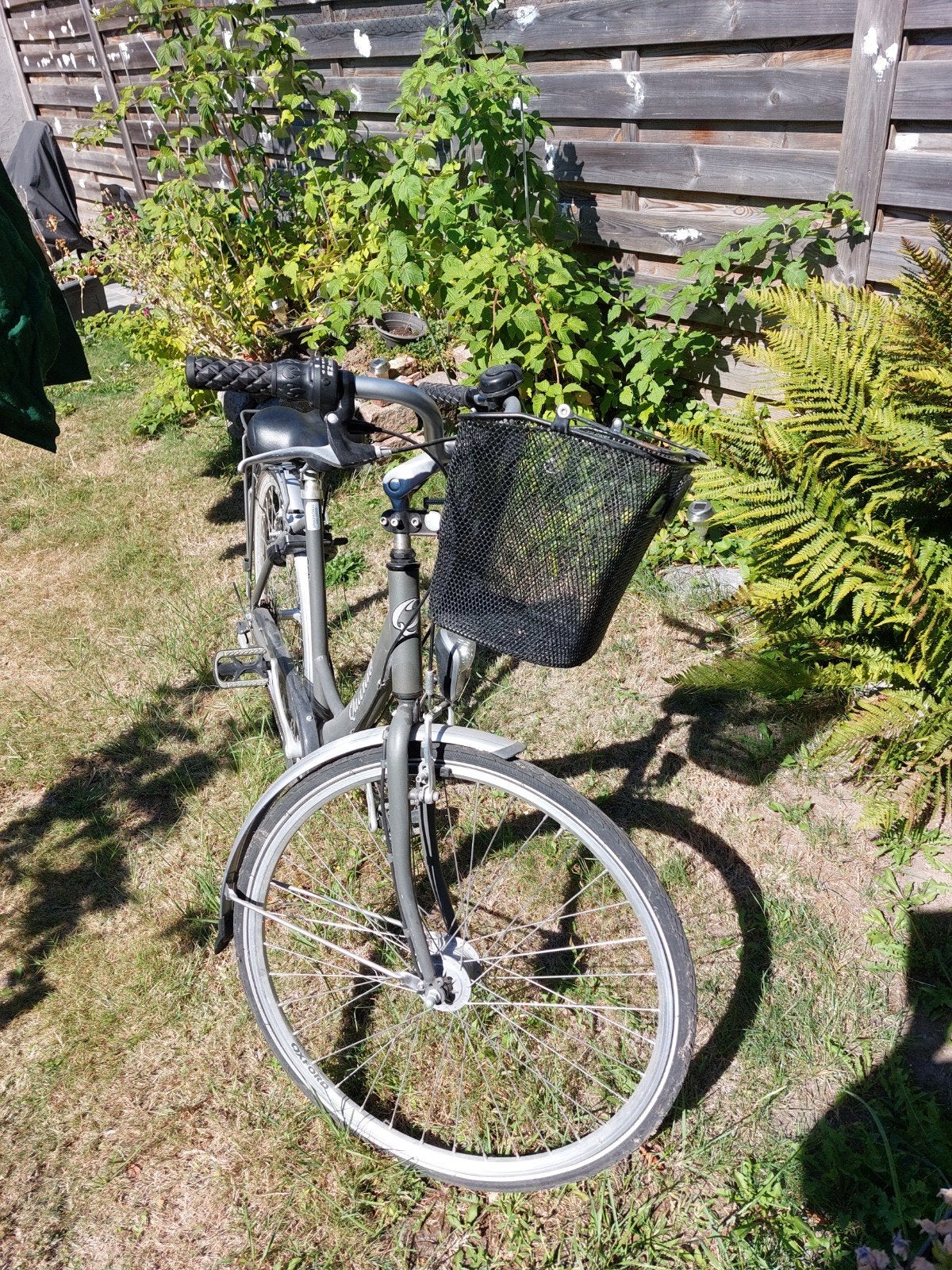 fiets, Fietsen en Brommers, Ophalen