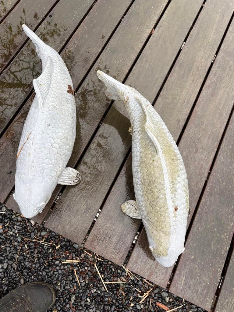 2 koi beelden 65 cm, Karper of Koi