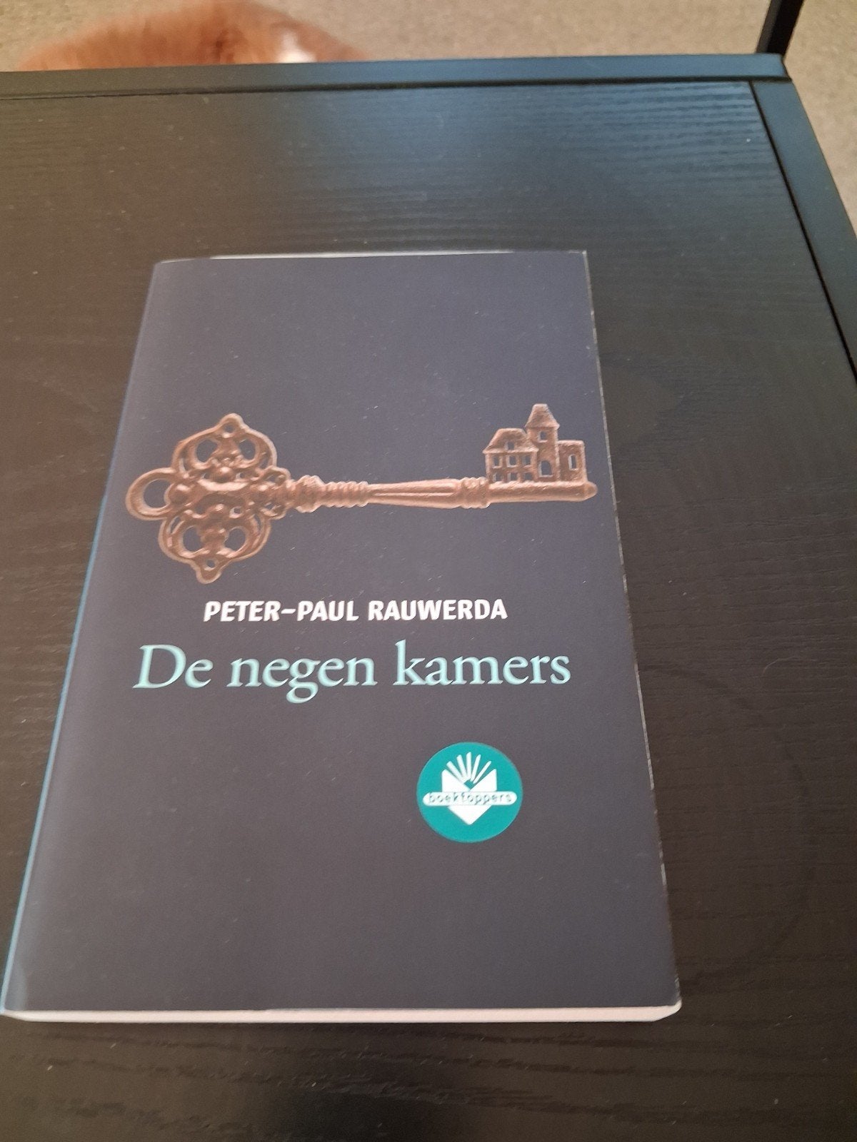 De negen kamers, Boeken, België, Ophalen of Verzenden, Zo goed als nieuw, Peter-Paul Rauwerda