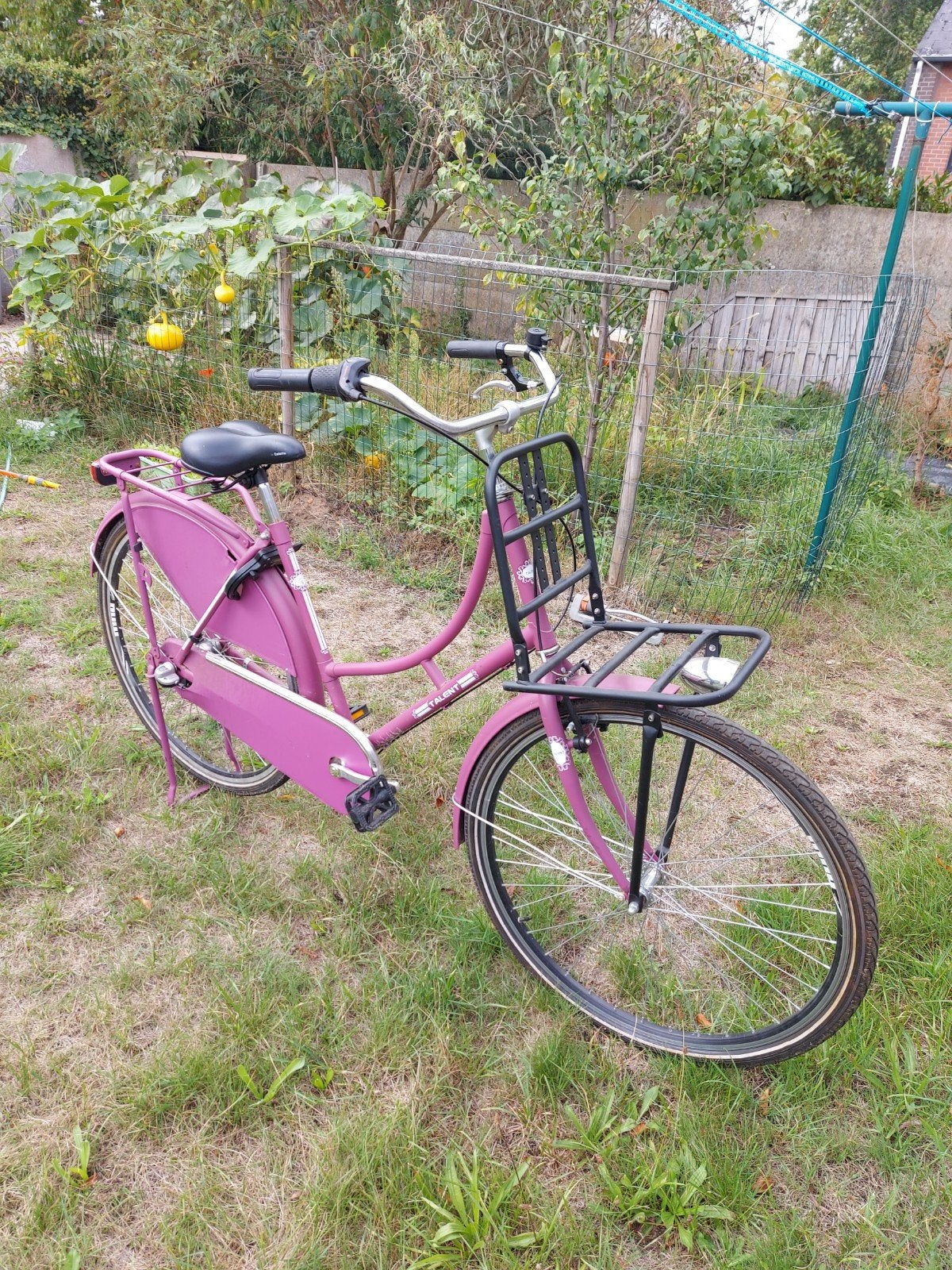 Damesfiets., Ophalen