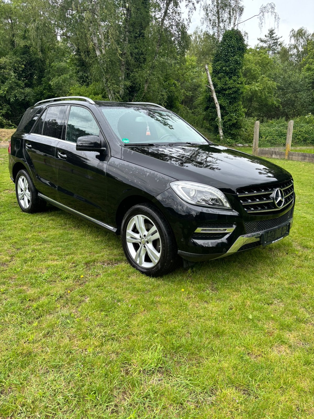 Mercedes ML, Autos, Mercedes-Benz, Particulier, Bluetooth, Diesel, Automatique, Alcantara, Enlèvement