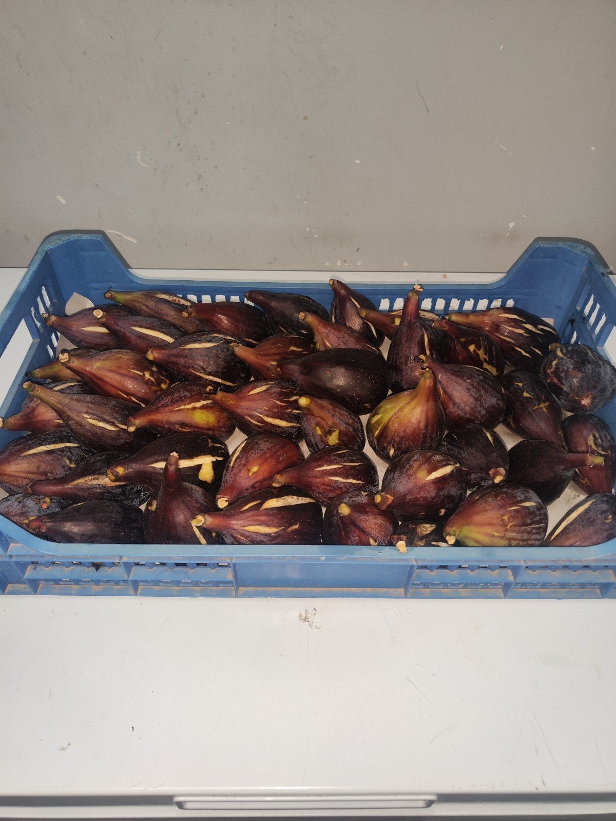 Figues, Divers, Produits alimentaires, Enlèvement