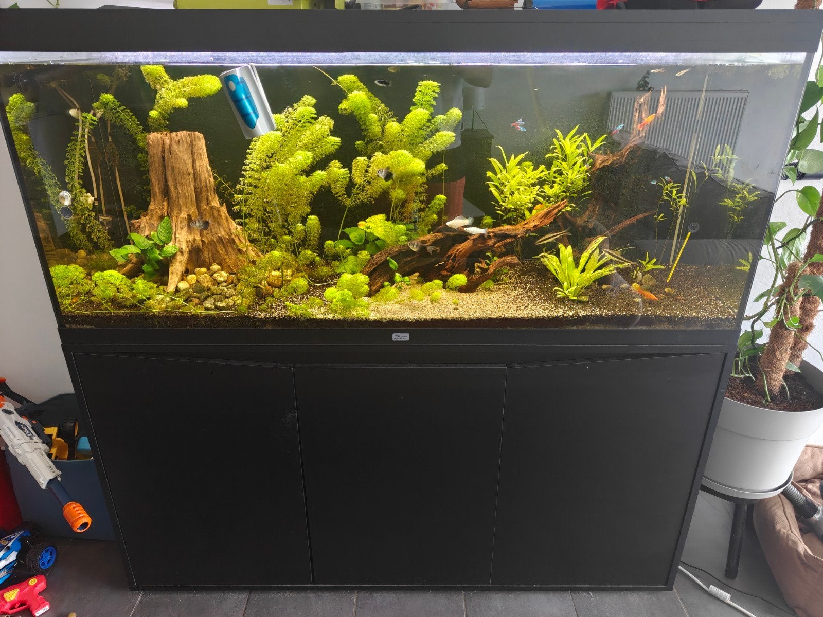 Aquarium Aquatlantis 450L, Dieren en Toebehoren, Ophalen