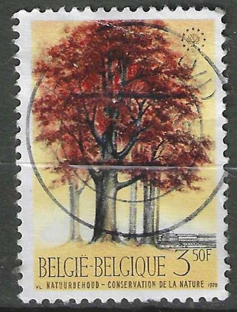 Belgie 1970 - Yvert/OBP 1526 - Europa - Natuur - 3,50 F (ST), Postzegels en Munten, Postzegels | Europa | België, Verzenden, Gestempeld