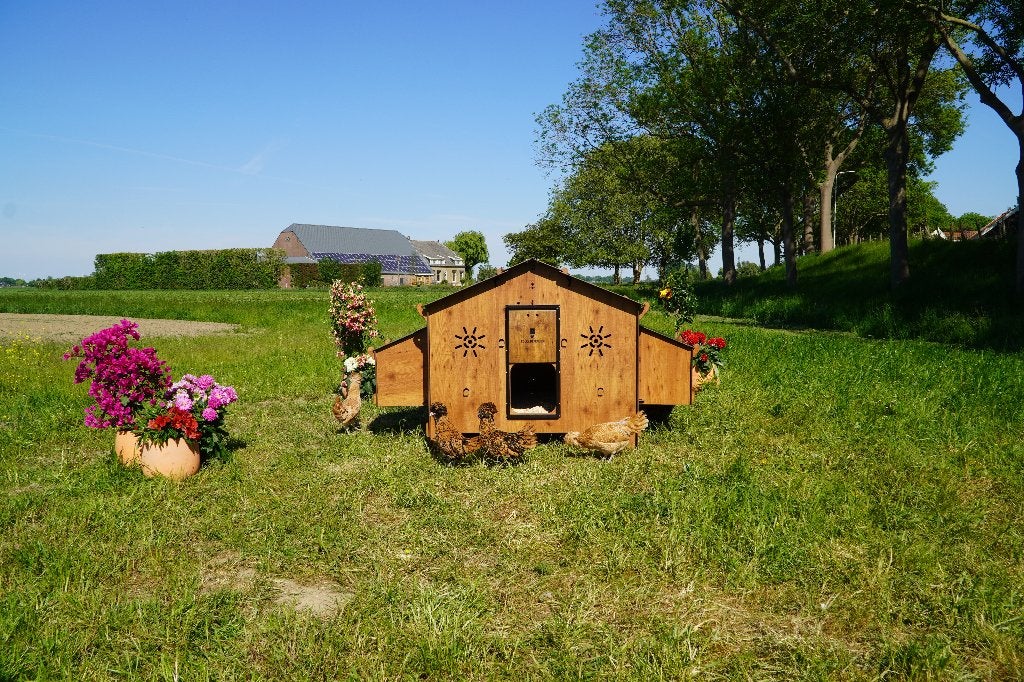 Trespa Kippenhok Cucciolotta | Chalet 4XL, Enlèvement ou Envoi, Neuf, Poulailler
