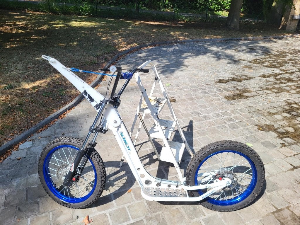 cani-trottinette, Enlèvement, Comme neuf