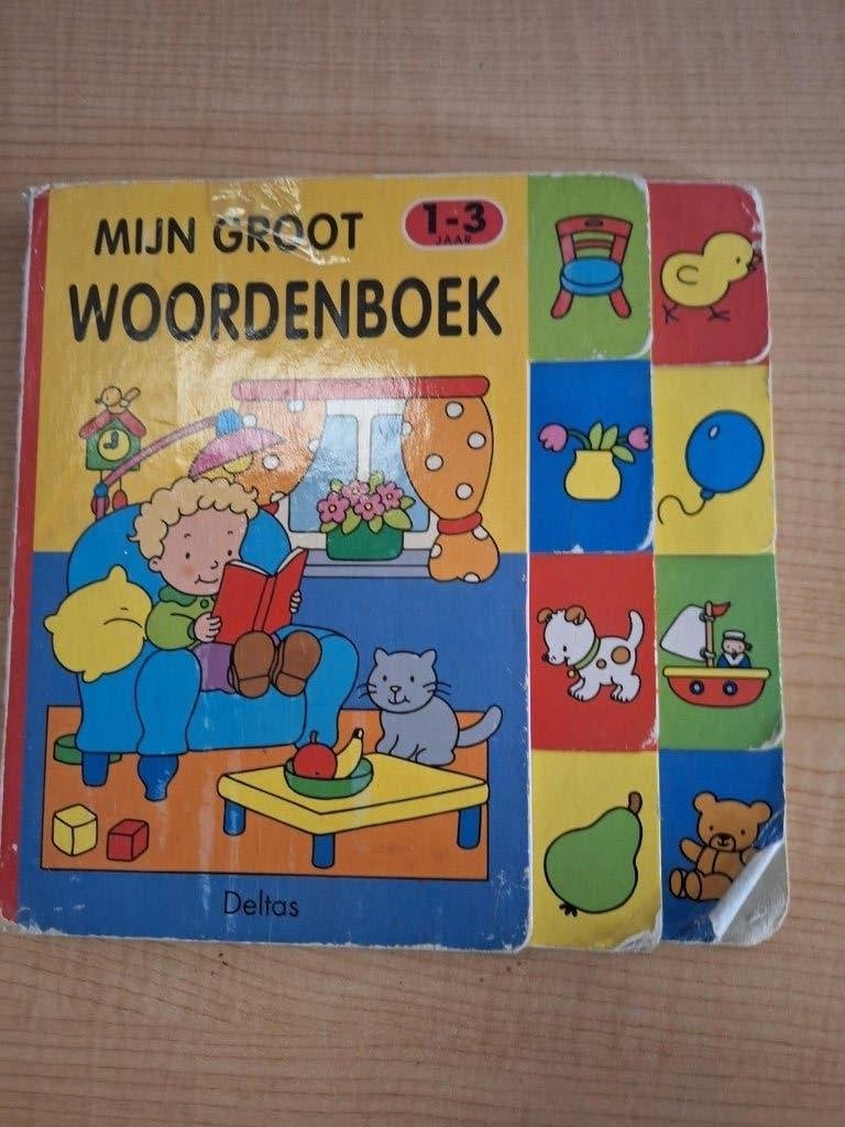 boek mijn groot woordenboek, Ophalen of Verzenden, Gelezen