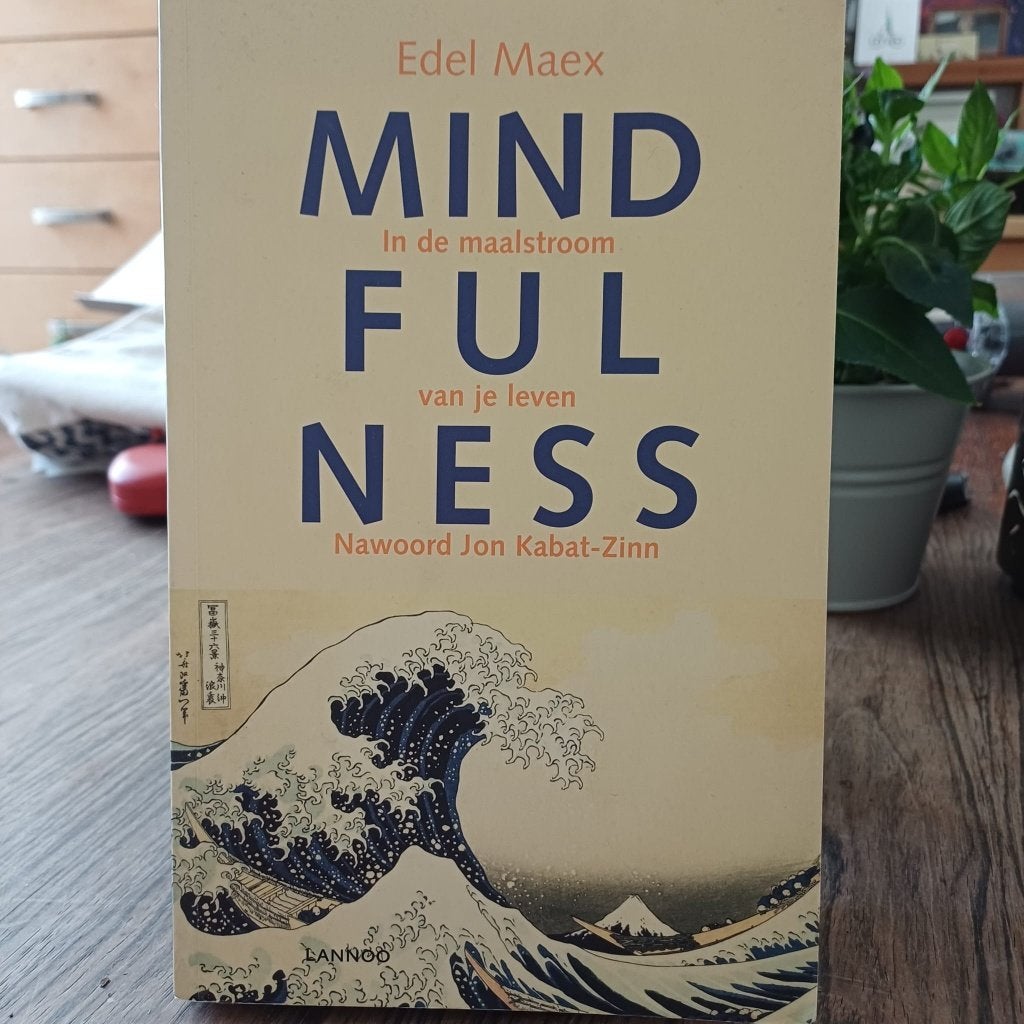 MINDFULNESS: in de maalstroom van je leven - Edel Maex, Boeken, Psychologie, Klinische psychologie, Edel Maex, Ophalen, Gelezen