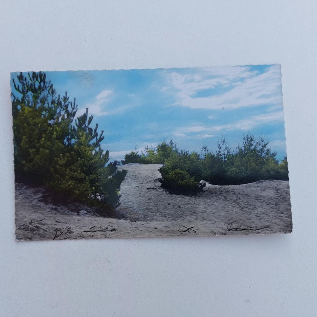 Oude postkaart Kasterlee, Enlèvement ou Envoi
