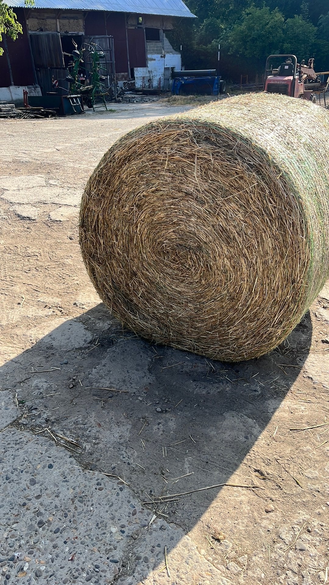 Foin épicé 1,3M, Enlèvement
