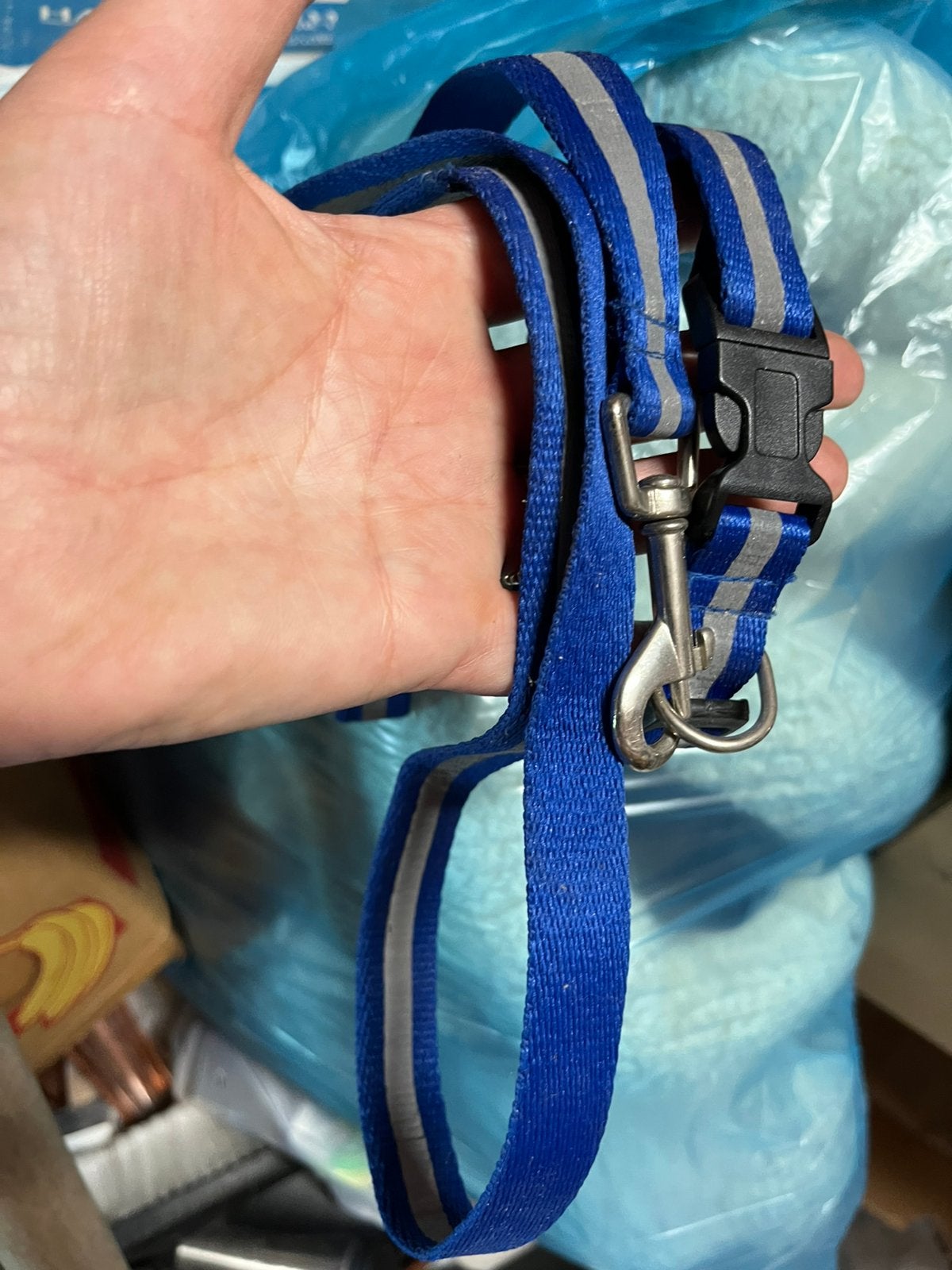 Laisse avec collier et bande fluorescente neuve, Enlèvement, Neuf, Laisse pour chien
