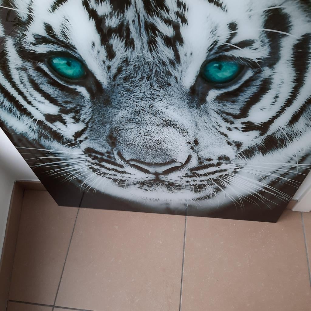 Tijger op glas muurdecoratie., Huis en Inrichting, Woonaccessoires | Schilderijen, Tekeningen en Foto's, Ophalen