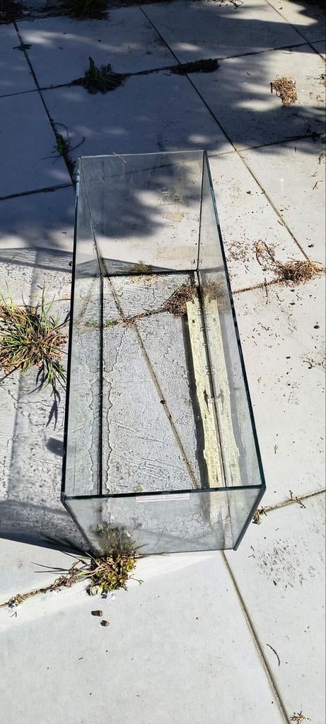Voor terrarium, Ophalen