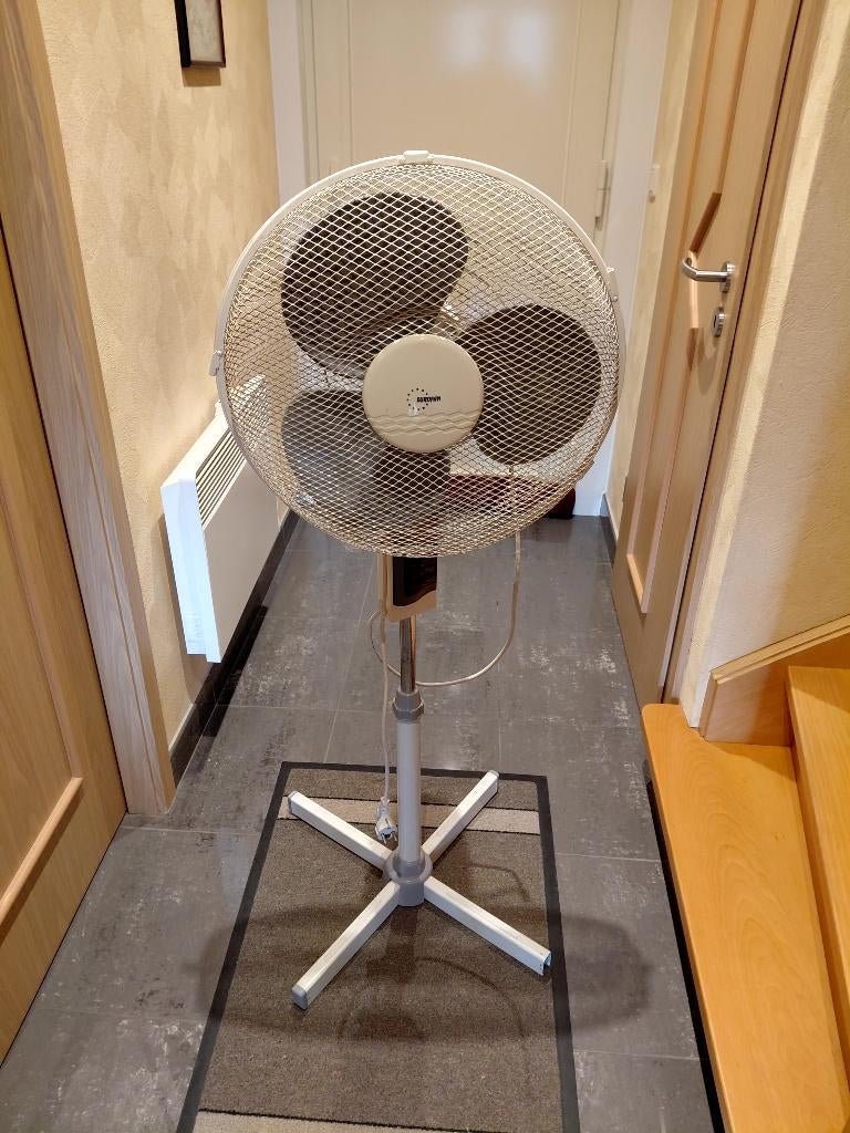 ventilateur à pied, Electroménager, Ventilateurs, Enlèvement, Utilisé, Ventilateur de trépied