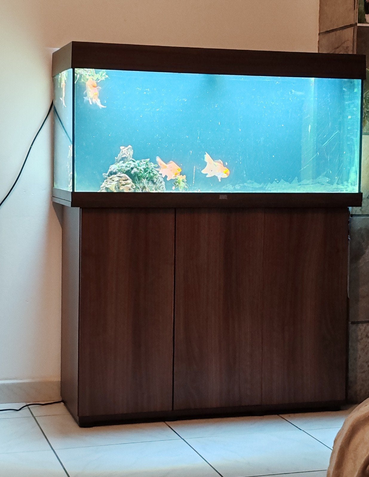 aquarium juwel 180, Ophalen, Juwel