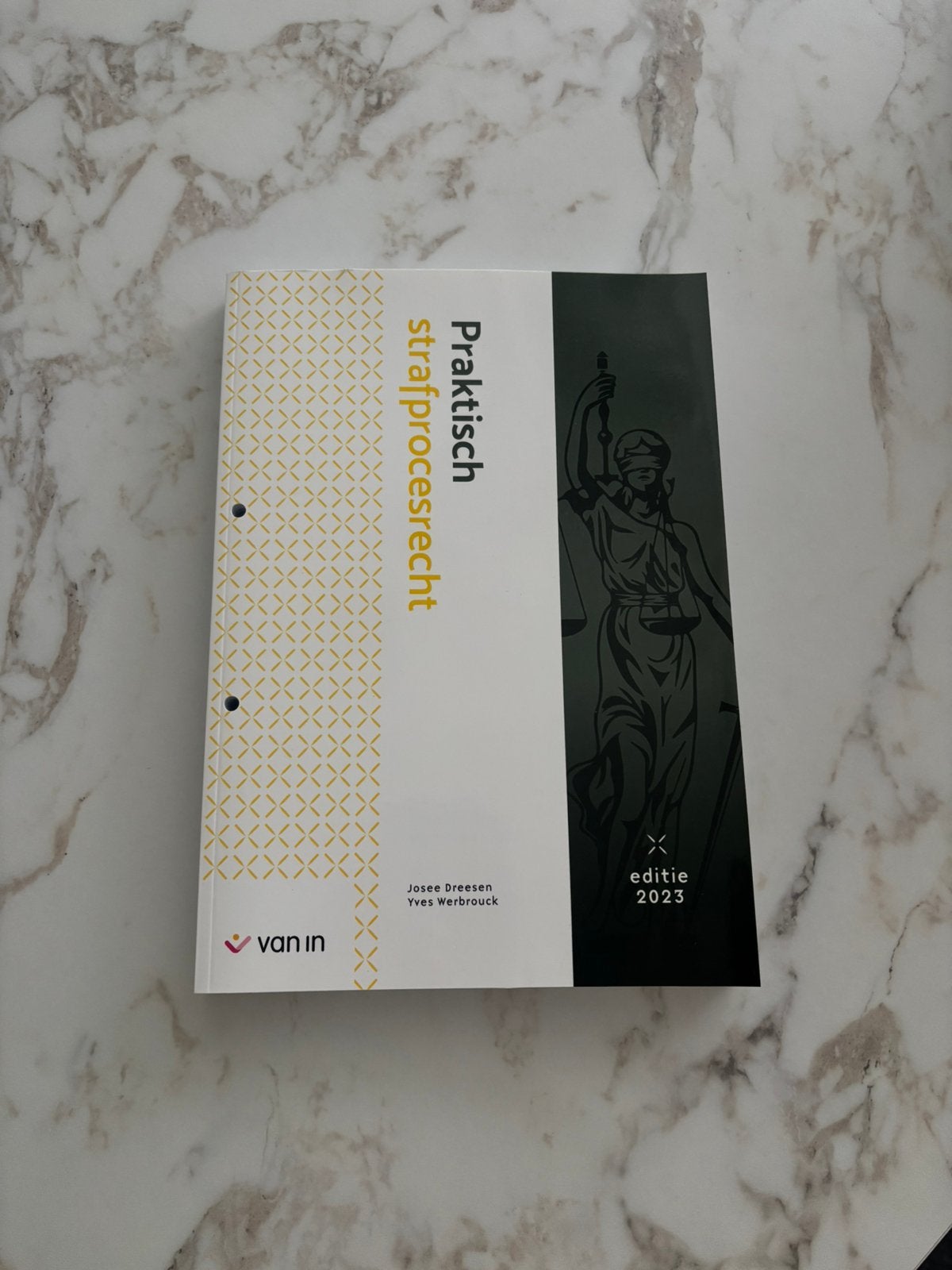 Boek praktisch strafprocesrecht, bachelor rechtspraktijk, Ophalen of Verzenden, Zo goed als nieuw