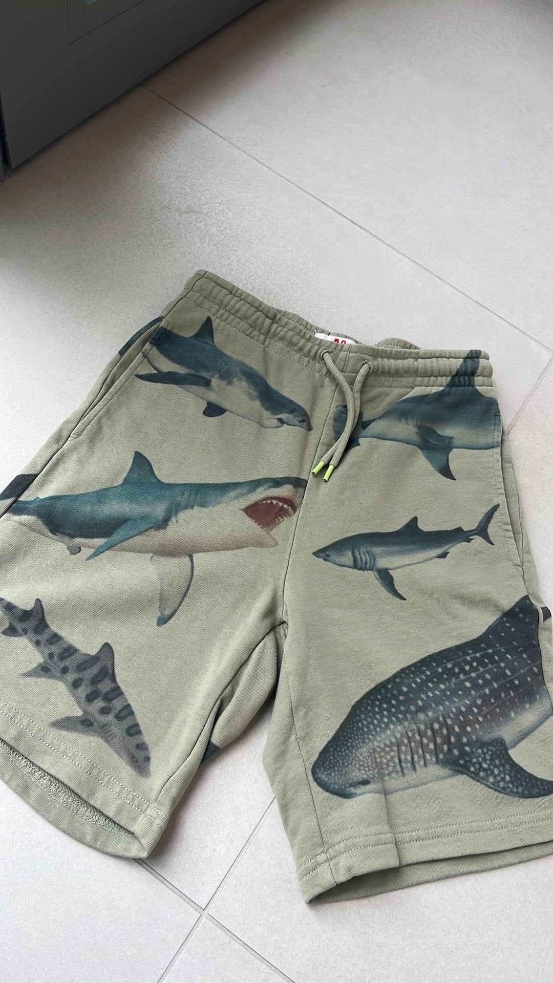 Short 12 jaar (AO76), Ophalen