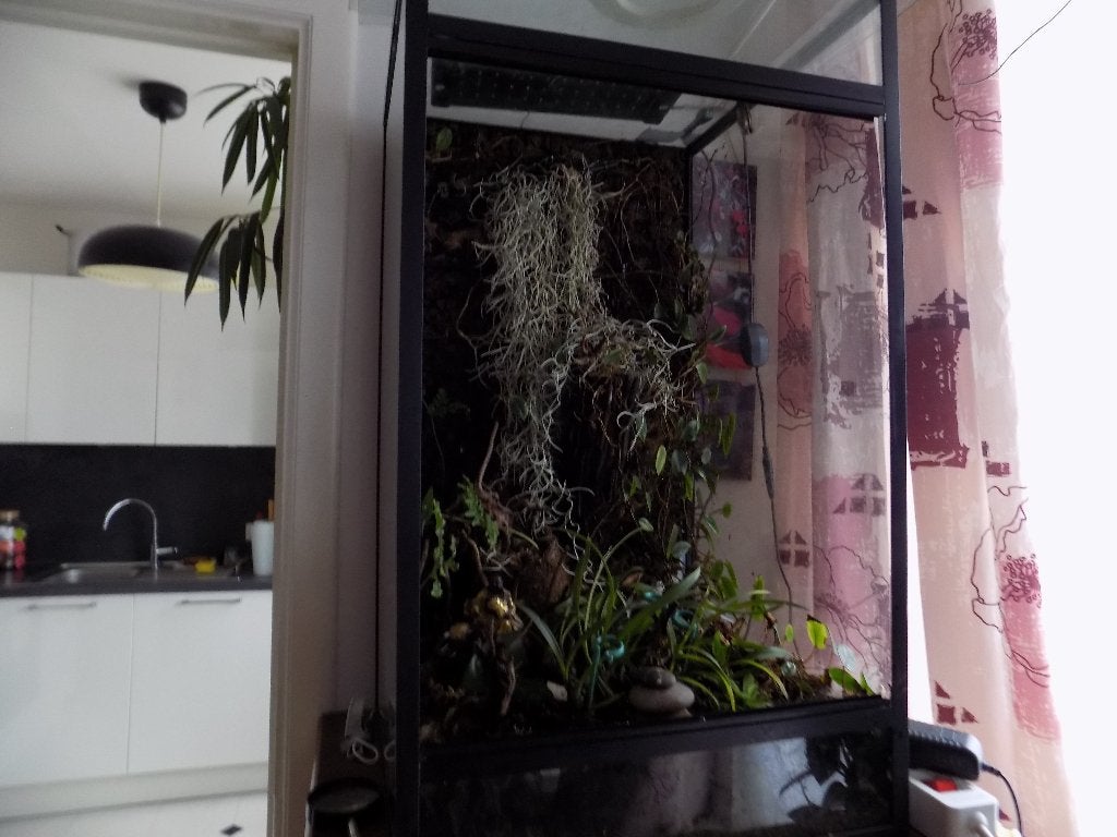 terrarium, Maison & Meubles, Plantes d'intérieur, Enlèvement