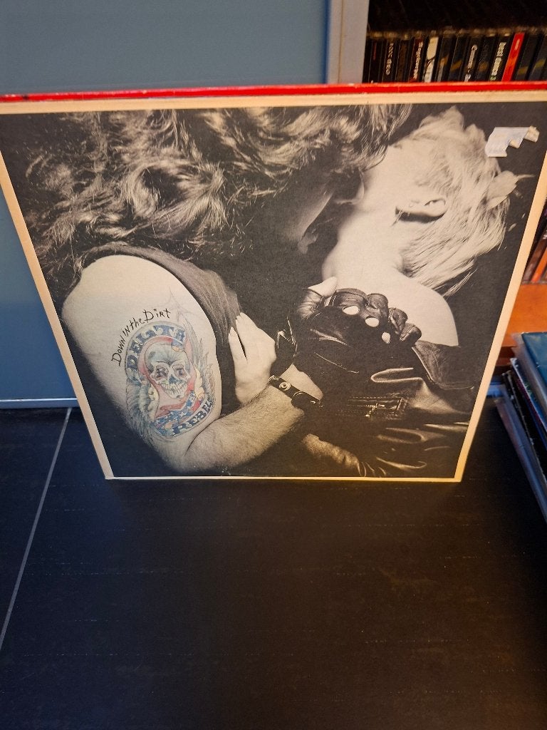 lp - delta rebels - down in the dirt - bak 5, Enlèvement ou Envoi, Comme neuf, Hard rock, Pochette photo
