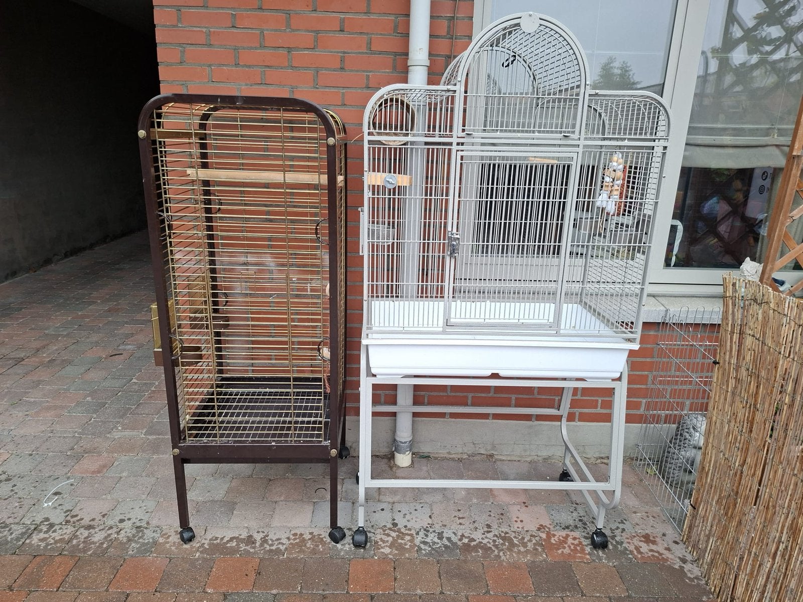 Grote papegaaien kooi, Dieren en Toebehoren, Ophalen, Zo goed als nieuw