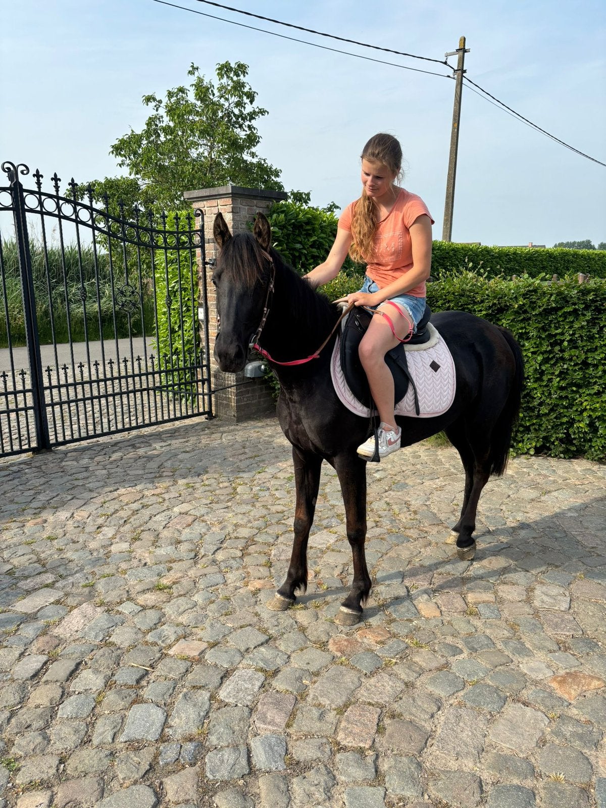 Mooie merriepony, Dieren en Toebehoren, Merrie, Minder dan 160 cm, Zadelmak, 3 tot 6 jaar