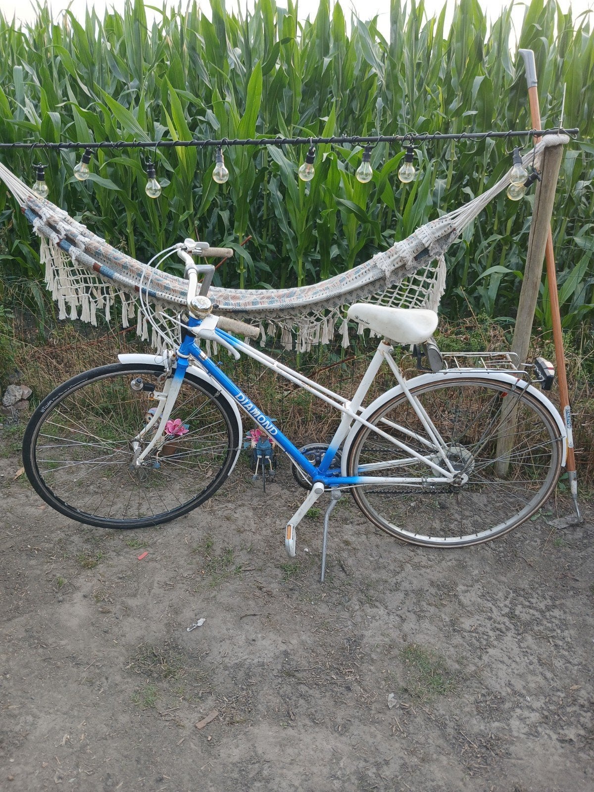 Vintage damesfiets, Enlèvement