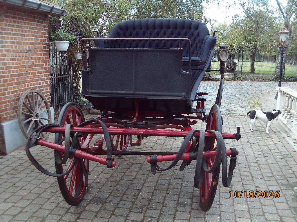 paardenkoets, Animaux & Accessoires