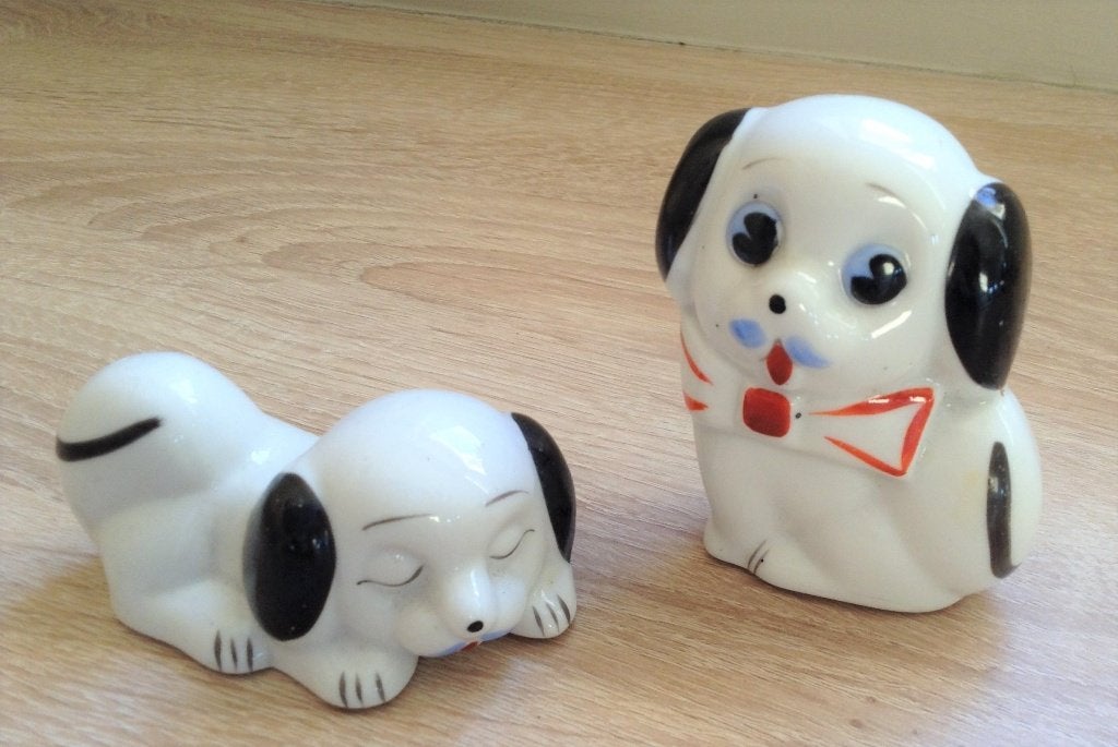 Twee schattige hondjes, Ophalen of Verzenden, Gebruikt, Dier