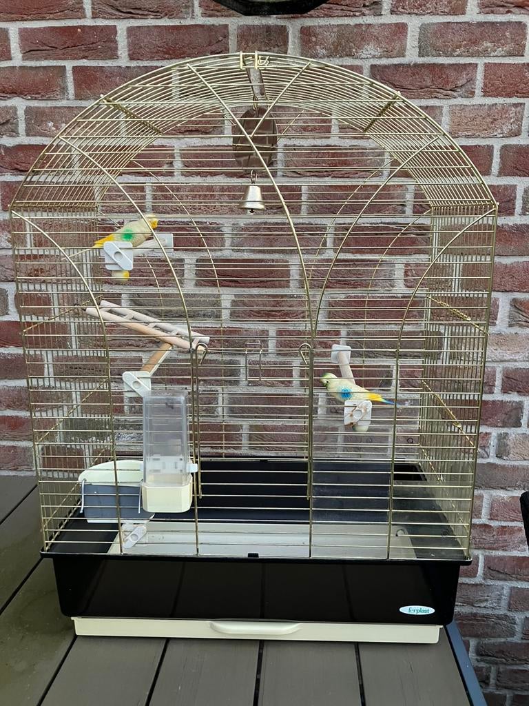 GROTE VOGELKOOI IMAC GOUDKLEUR OP STAANDER NU 60 EURO, Dieren en Toebehoren, Ophalen, Zo goed als nieuw, Overige materialen, Vogelkooi