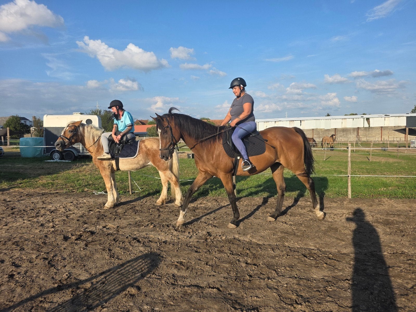 Super brave familie ruin, Hongre