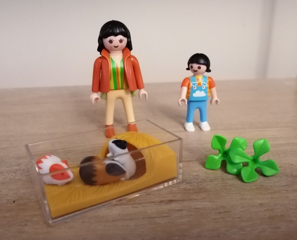 Playmobil 4348 Cavia's Met Terrarium, Zo goed als nieuw, Figuren, Overige series, Complete set