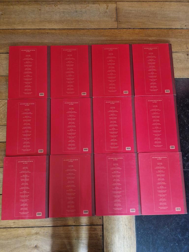 Lot de 12 bd double album tintin (série complète), Livres, Enlèvement ou Envoi