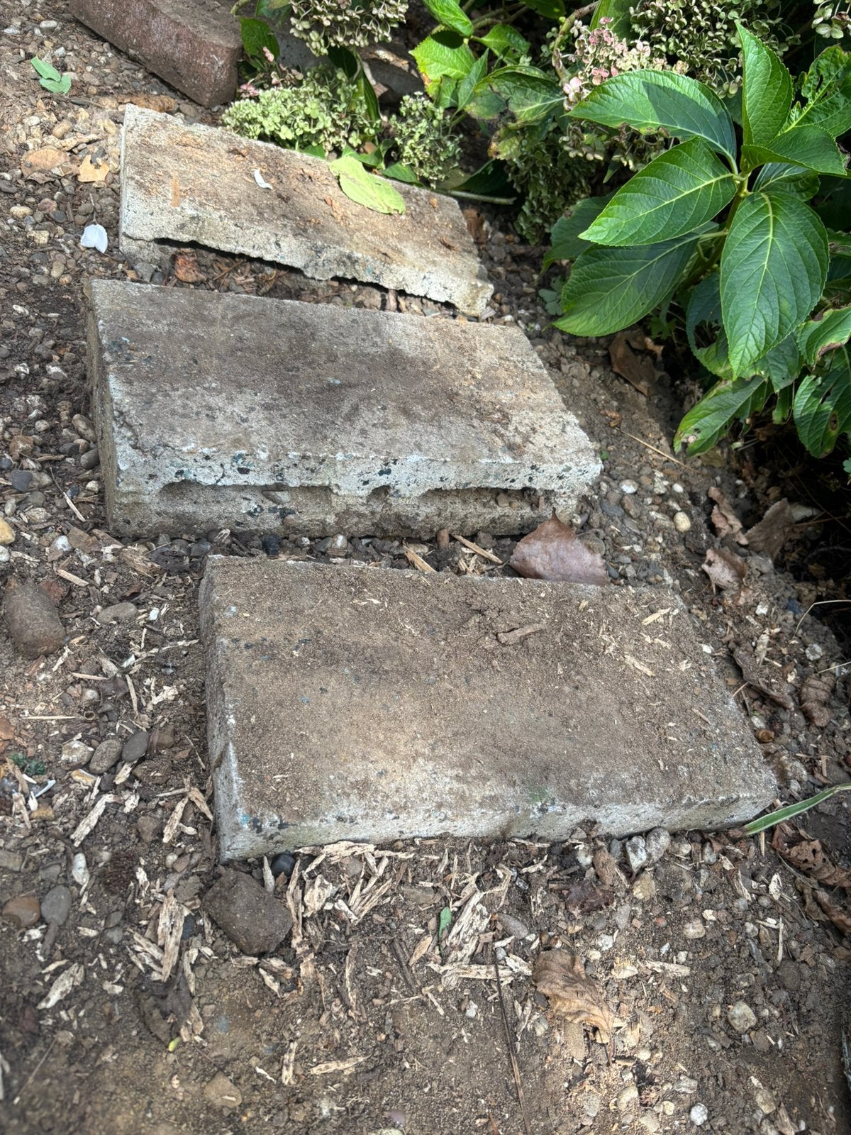 Betonblok hol 39cm x 19cm x 9cm (min 85 stuks), Ophalen, Zo goed als nieuw, Beton