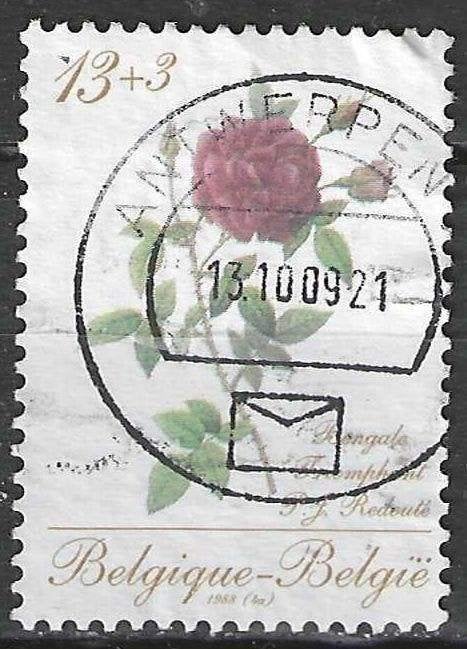 Belgique 1988 - Yvert/OBP 2280 - Roses de Redoute (ST), Envoi, Affranchi, Oblitéré