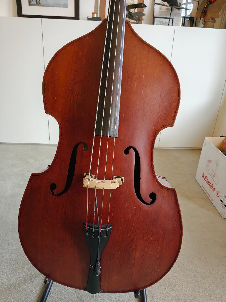 Contrebasse 3/4 Pro Arte — Solid Top — Ensemble complet, Enlèvement, Comme neuf, Contrebasse 3/4