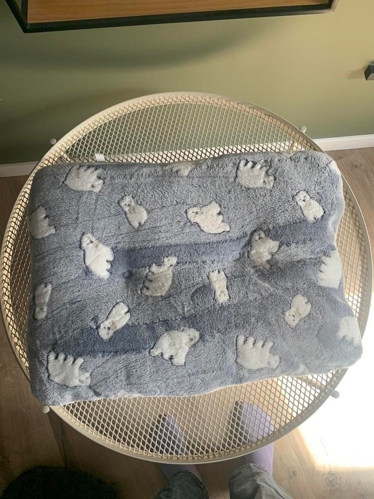 Kattenkussen, Ophalen of Verzenden, Zo goed als nieuw