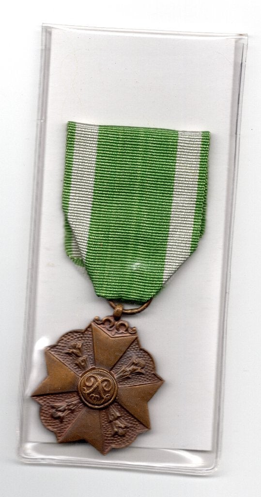 Medaille v/d BRANDWEER  Brons, Verzamelen, Verzenden, Overige soorten, Lintje, Medaille of Wings