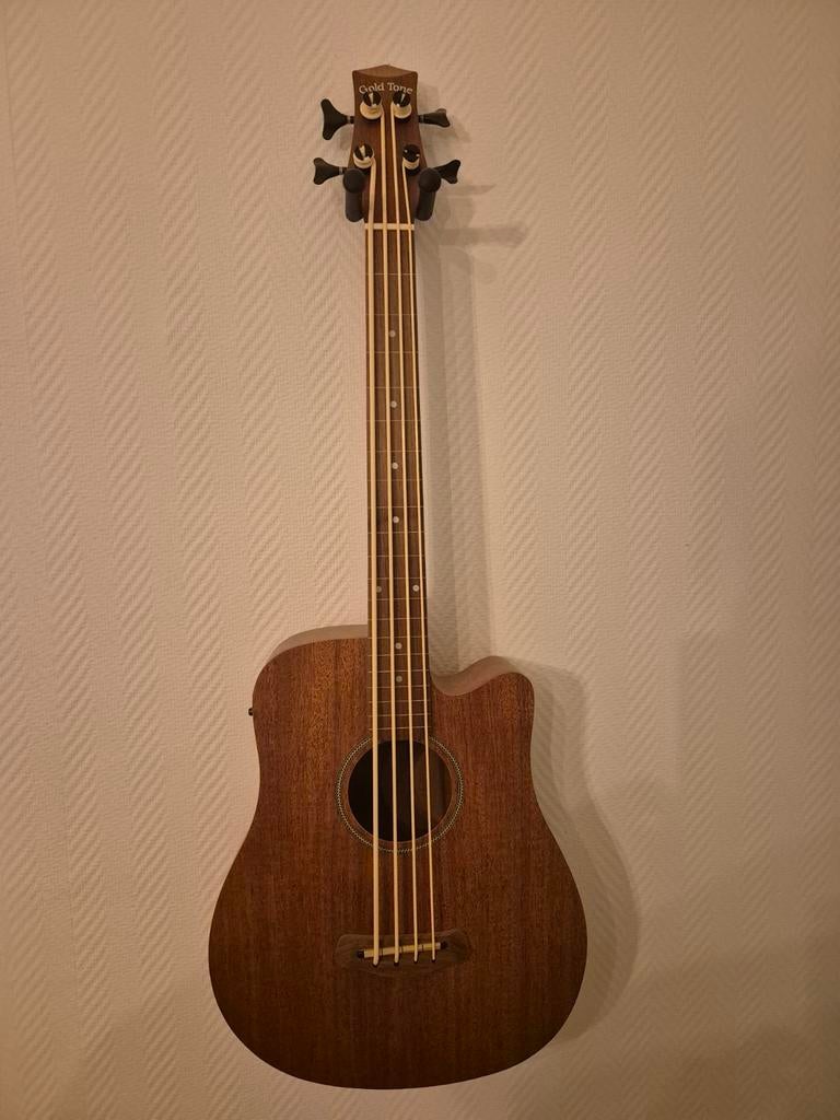 Gold Tone Micro Bass (Mbass25) fretless, Muziek en Instrumenten, Snaarinstrumenten | Gitaren | Bas, Ophalen