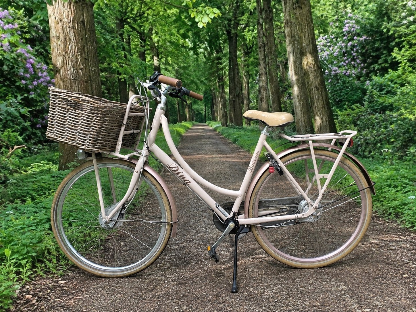 UNIEKE Batavus E-bike (Rijdt als scooter zonder trappen!), Fietsen en Brommers, Ophalen of Verzenden