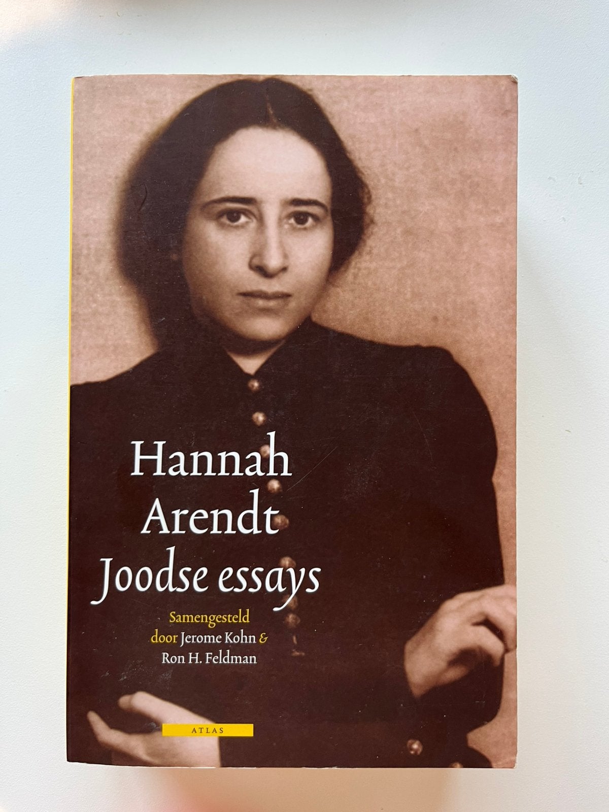 Boek Hannah Arendt Joodse essays, Ophalen, Zo goed als nieuw