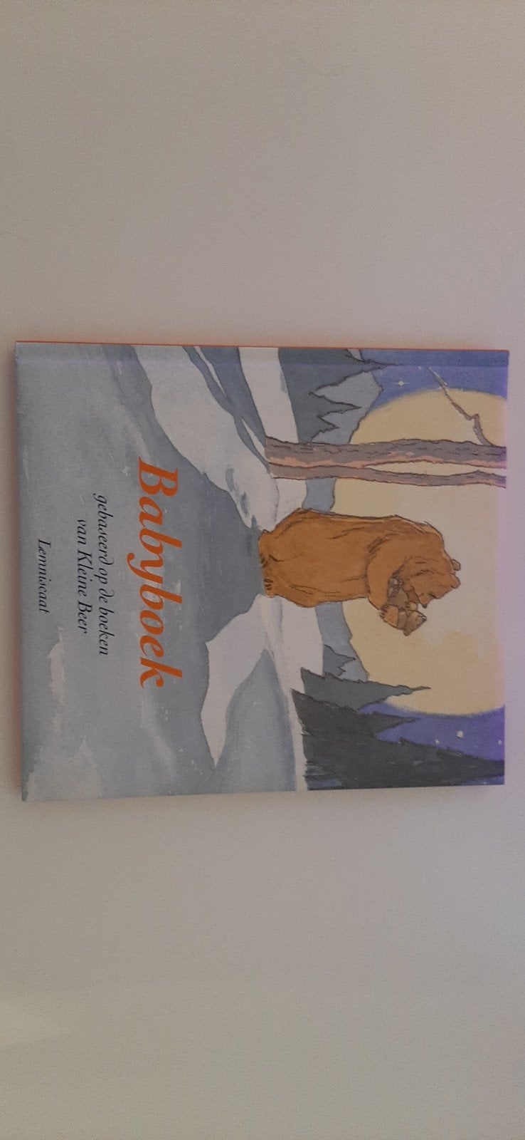 Babyboek gebaseerd op de boeken van Kleine Beer, Boeken, Ophalen, Nieuw, Martin Waddell, Prentenboek