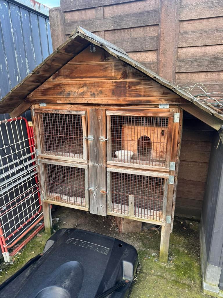 Kooi voor konijnen, Dieren en Toebehoren, Ophalen, Zo goed als nieuw