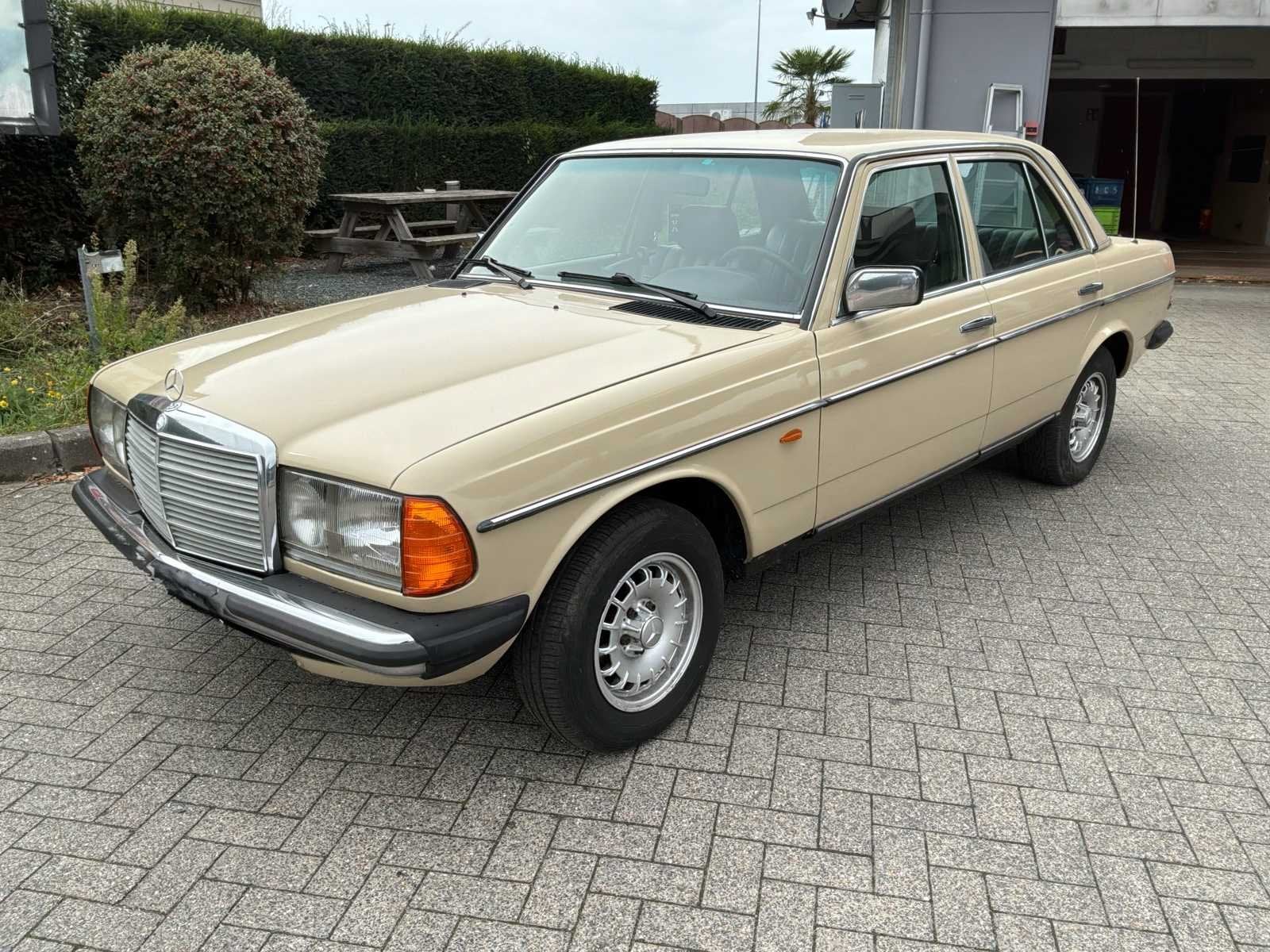 Mercedes-Benz 240 D W123 240 D W123 Ancêtres, Autos, Achat, Entreprise, Autre carrosserie, Mercedes-Benz