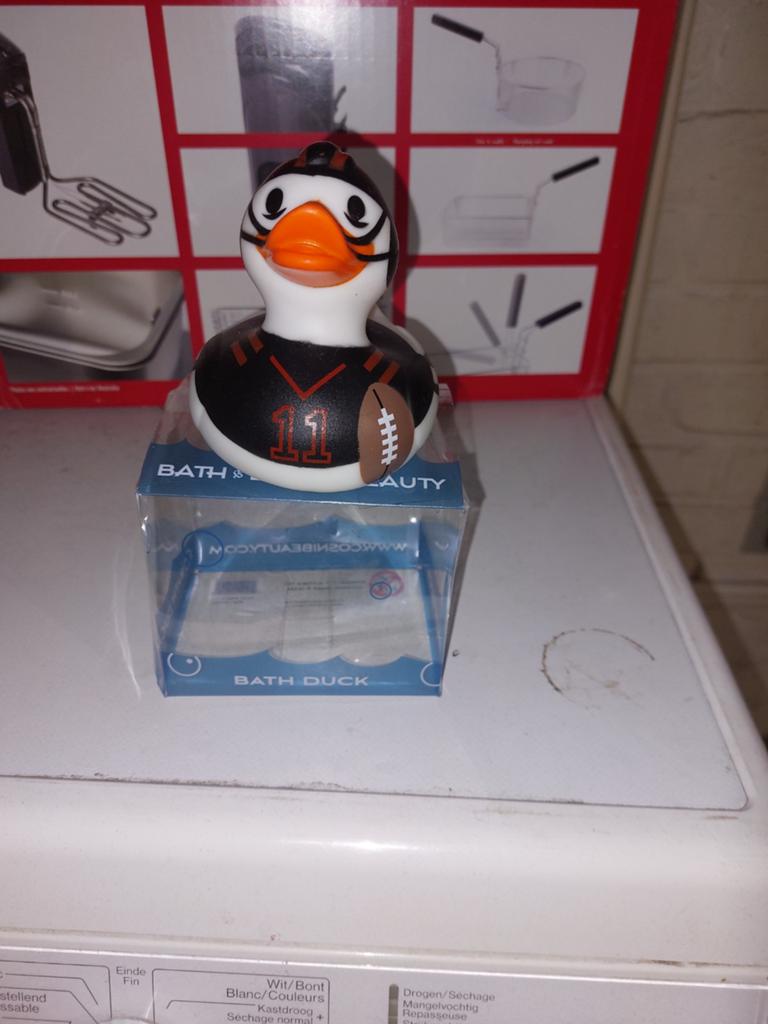 Canard neuf.