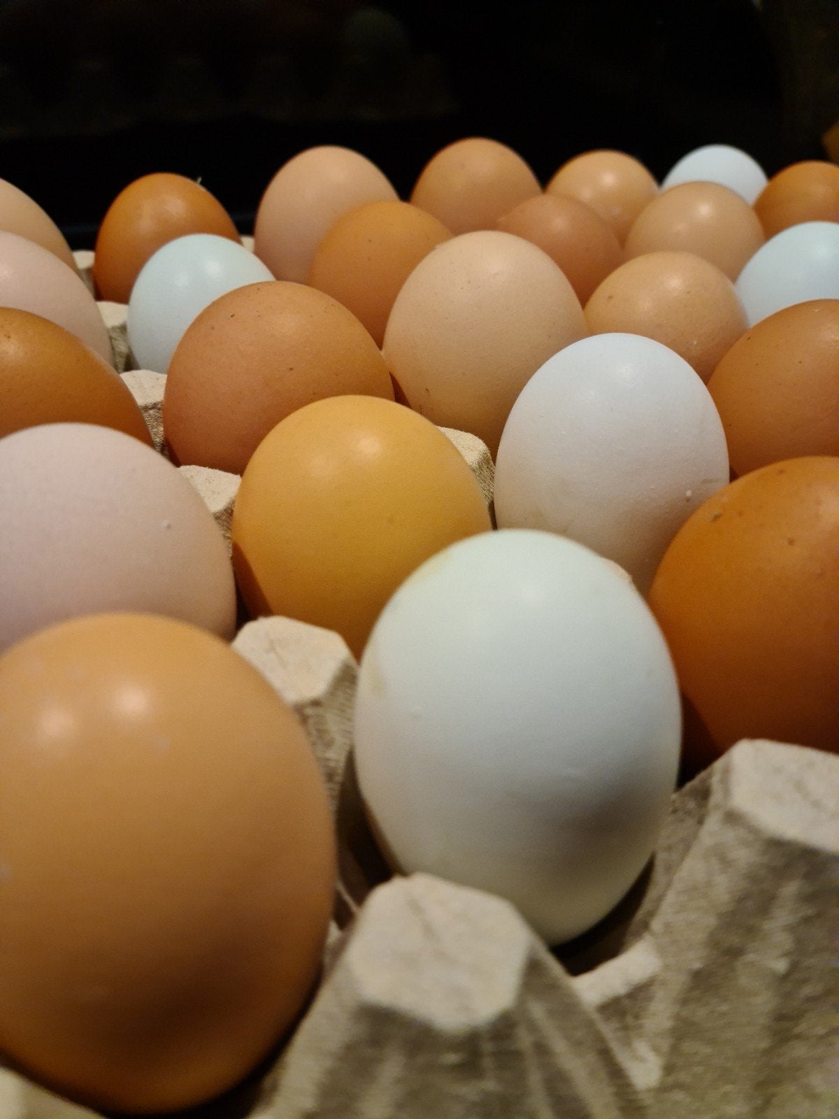 Verse eieren - scharreleieren, Divers, Produits alimentaires, Enlèvement